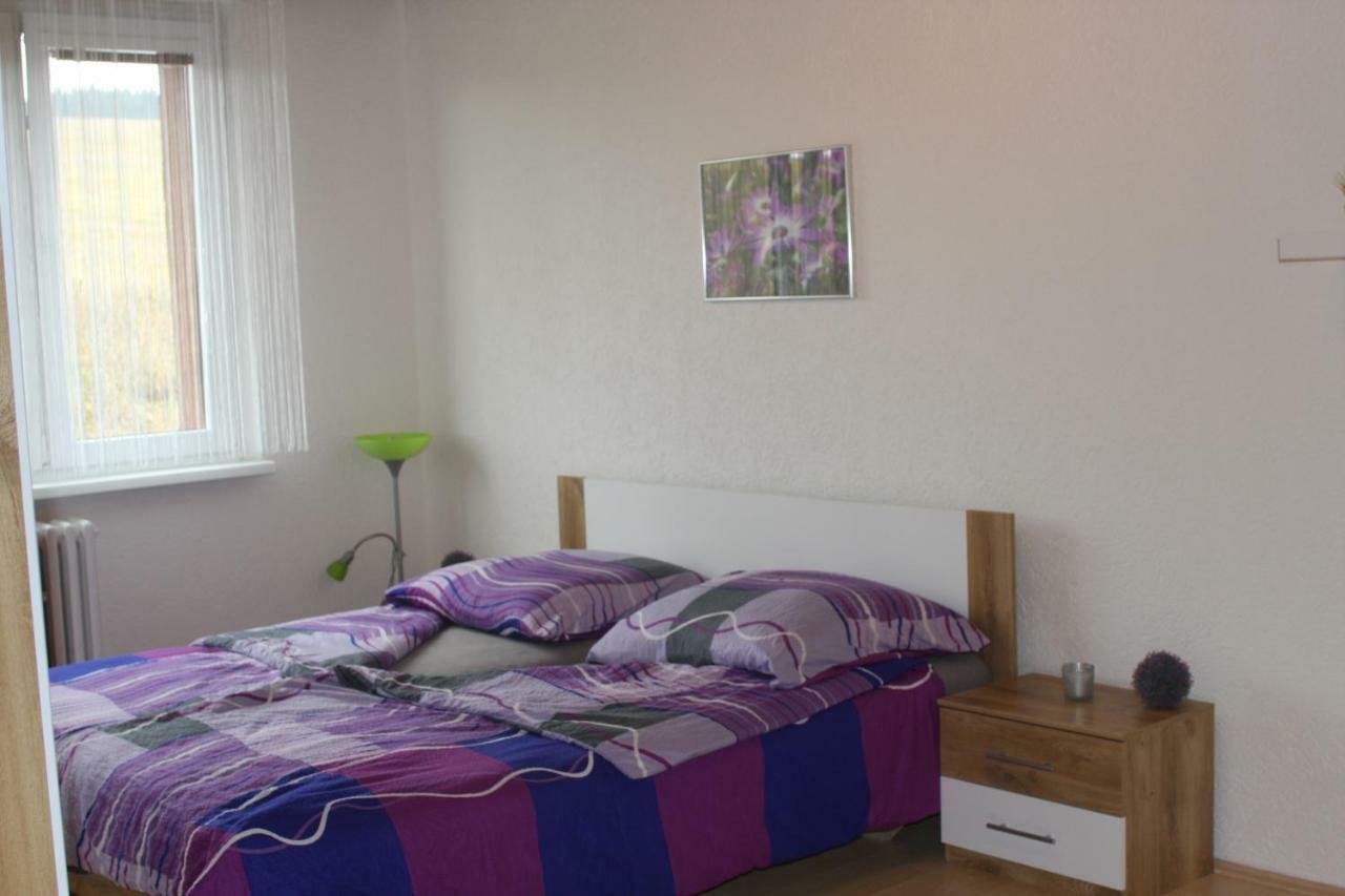 apartmány 2+1 u Klínovce Kovářská Kültér fotó